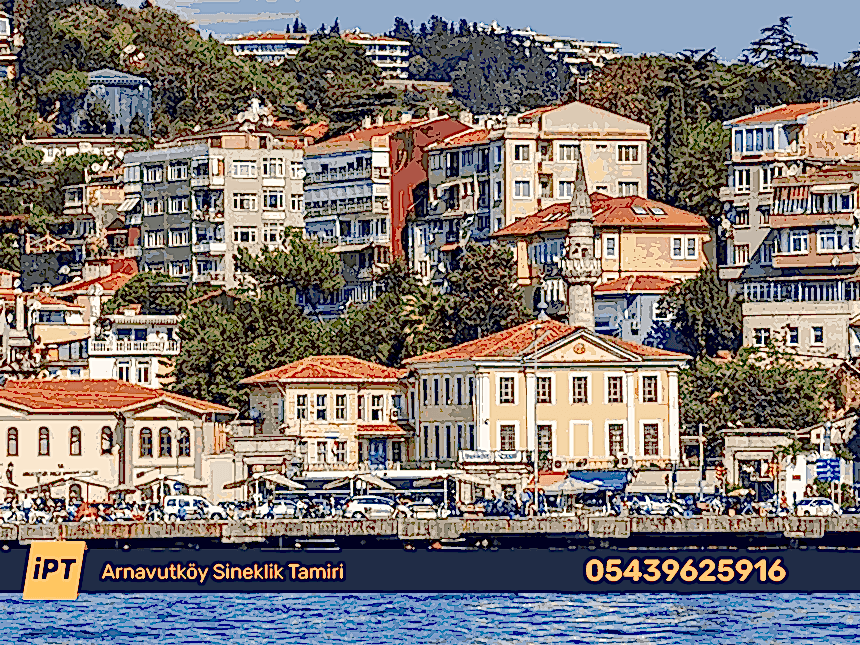 Arnavutköy Sineklik Tamiri