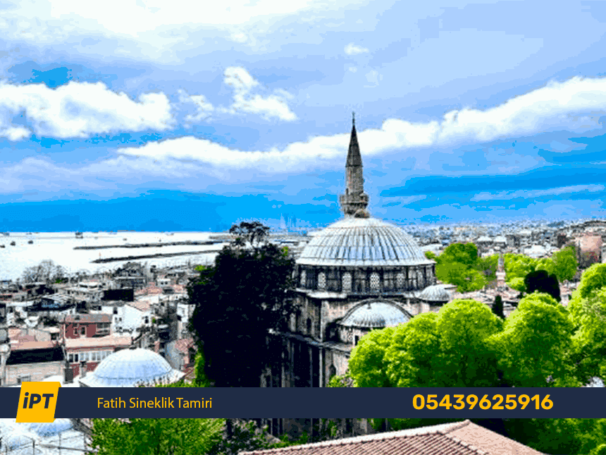 Fatih Sineklik Tamiri