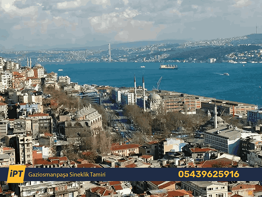 Gaziosmanpaşa Sineklik Tamiri