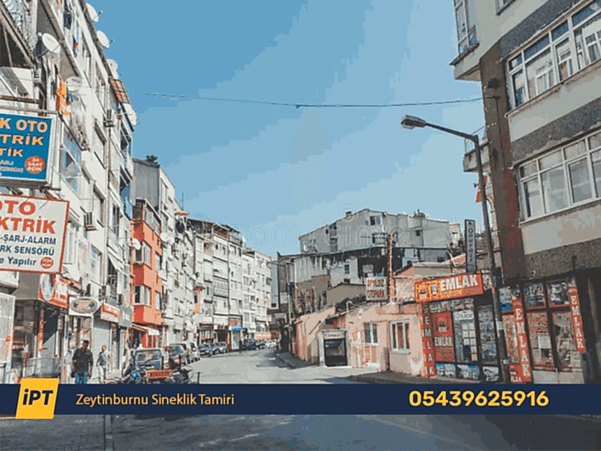 Zeytinburnu Sineklik Tamiri