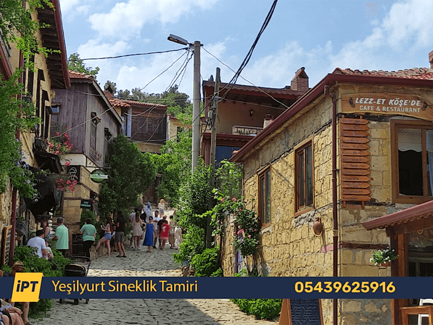 Yeşilyurt Sineklik Tamiri